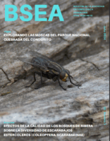 BSEA 35 (1)